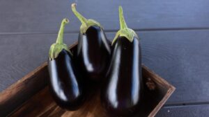 19 Excellent Eggplant Varieties You Should Know and Grow