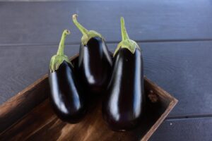 Black Stallion (Sakata Seed America, Harris Seeds DBA Garden Trends, Inc.)