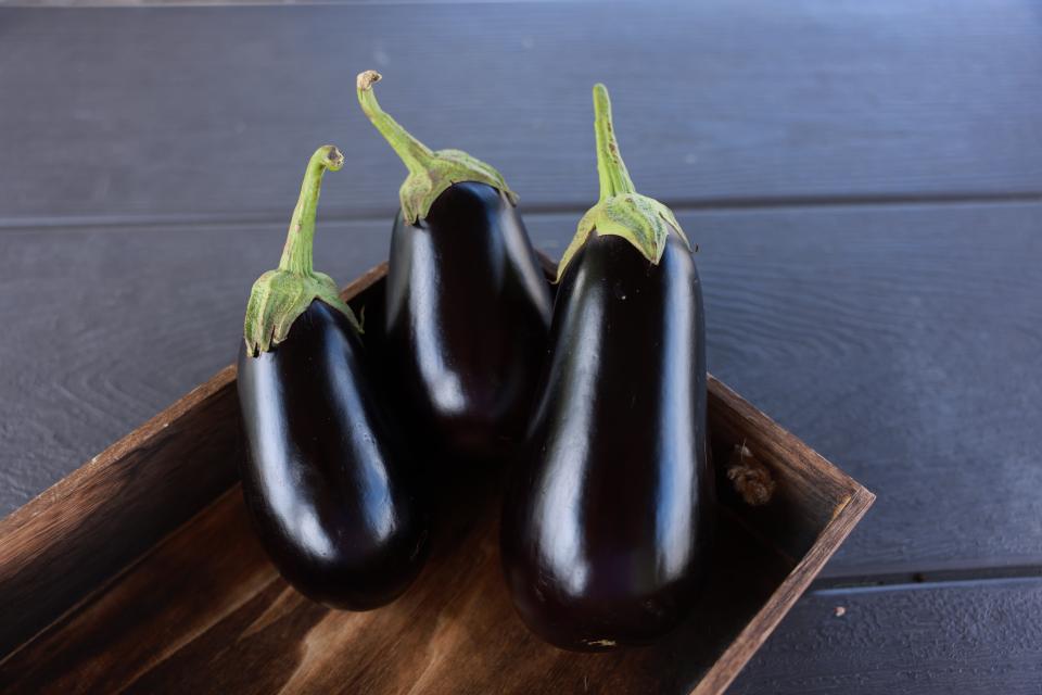 19 Excellent Eggplant Varieties You Should Know and Grow