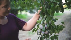 Celebrating 2026 as the International Year of the Woman Farmer