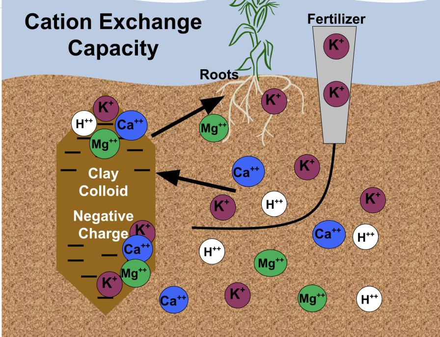 Cation Exchange Capacity graphic