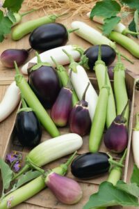 Cook's Choice (Terra Organics)