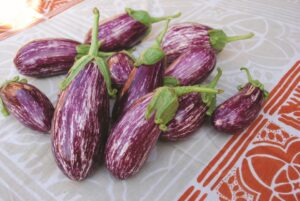 Listada de Gandia (AP Whaley, Harris Seeds DBA Garden Trends, Inc.)
