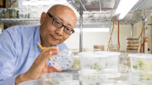 Scientists Teaming up to Wage High Tech War Against Citrus Greening