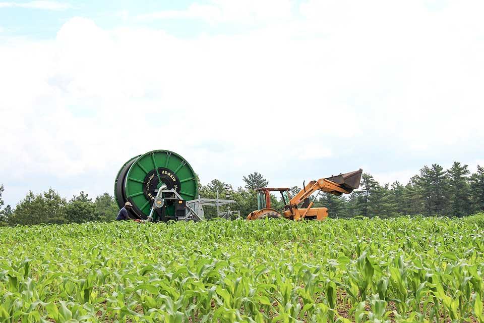 drip tape irrigation installation at Brookdale Fruit Farm