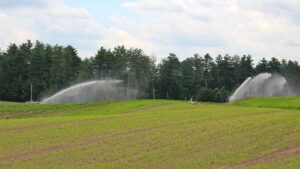 Six Millennia Later, Irrigation Is Still Evolving for Farmers Everywhere