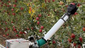 Watch an Inflatable Robotic Arm Pick Apples With Ease