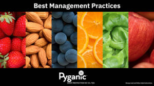 Getting the Most Out of Pyganic®: Best Practices for Organic Pest Control