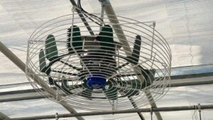 How To Get the Airflow Right in Leafy Greens Production