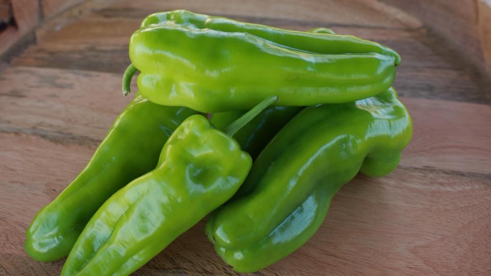 Exuma F1 (Seminis Vegetable Seeds, Harris Seeds dba Garden Trends, Inc)