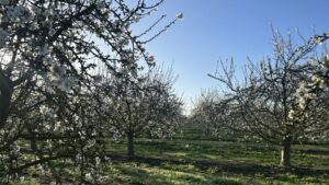 Stop 1: Sangha Farms