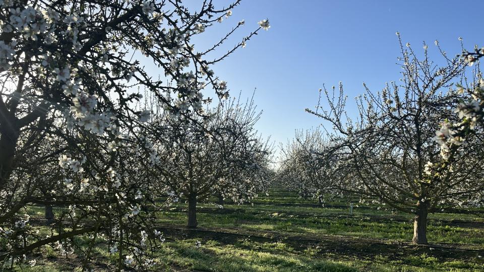 Stop 1: Sangha Farms