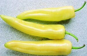 Inferno (Seminis Vegetable Seeds, Rupp Seeds)