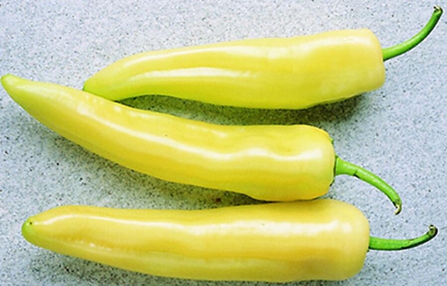 Inferno (Seminis Vegetable Seeds, Rupp Seeds)