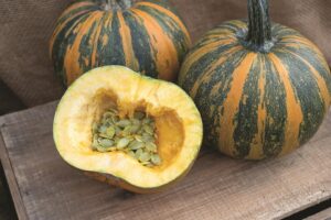 Junona (Johnny's Selected Seeds)