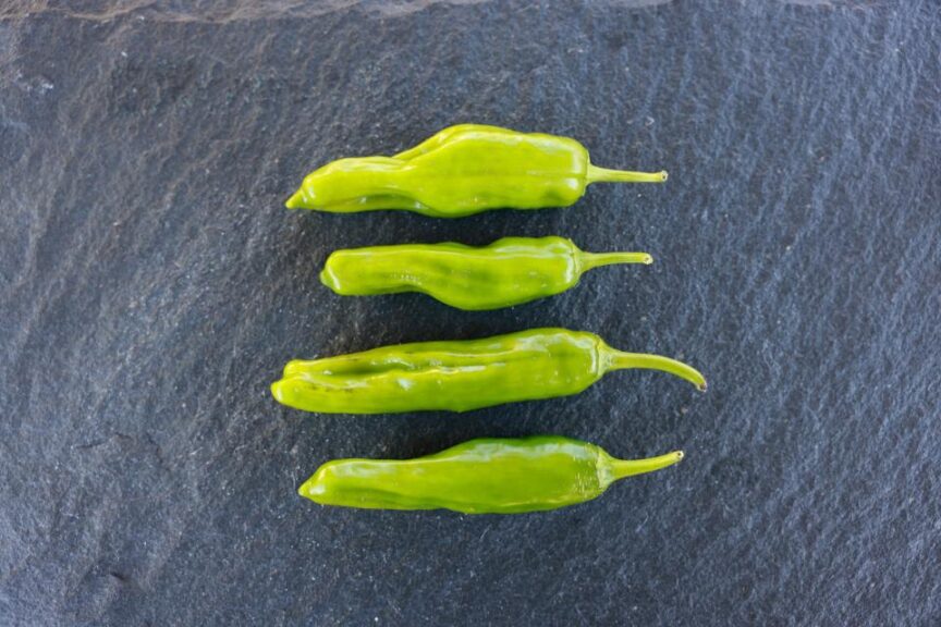 Katana F1 (EarthWork Seeds, Harris Seeds dba Garden Trends, Inc)