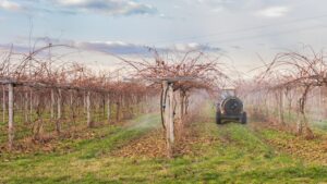 Expert POV: Biopesticides in Crop Production Now and Later