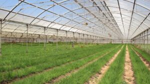 Why Digging Into the Limits of Simple Answers Is Fruitful for Produce Growers