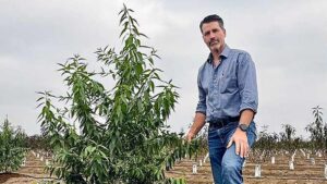 Unique Almond Variety Generates Exciting Times for Plant Genetics