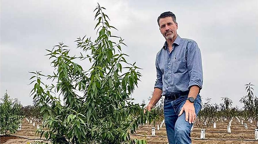 Unique Almond Variety Generates Exciting Times for Plant Genetics