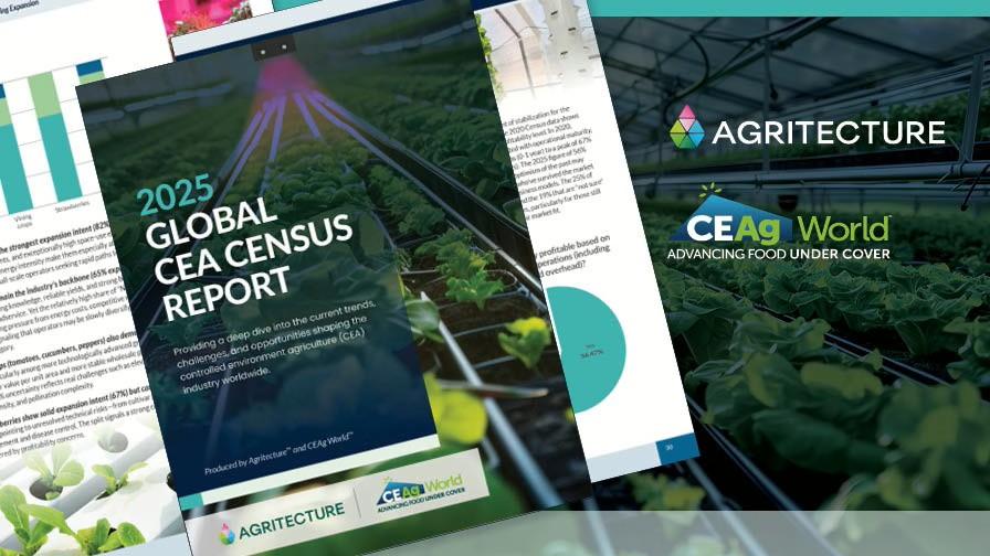 2025 Global CEA Census Report Now Available for Download