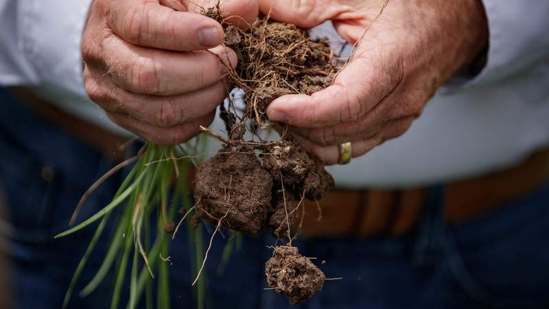 Soil temperature and characteristics are observed by participants during the pasture instruction part of the Noble Grazing Essentials workshop.