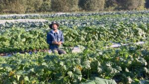 Why It’s Important for Vegetable Farmers To Know What Holds in Tight Years
