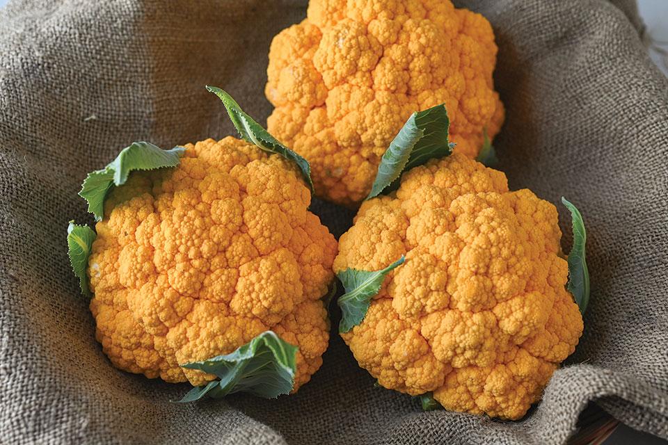 Cool Cauliflower Varieties You’ll Want To Grow in 2026