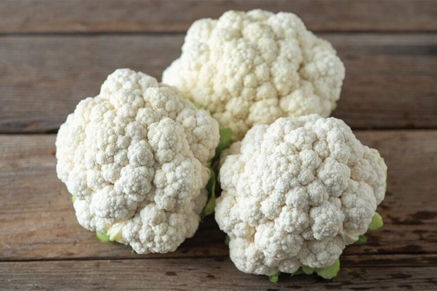 Fujiyama (Johnny's Selected Seeds)