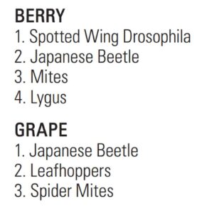 INSECT PESTS