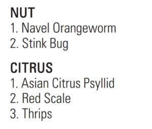 INSECT PESTS