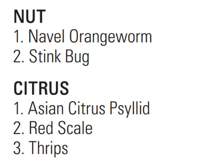 INSECT PESTS