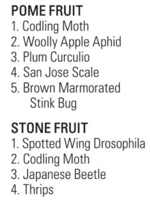 INSECT PESTS
