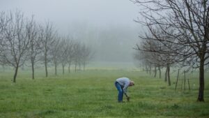 Stop Treating Orchard Symptoms. Fix the Root Cause.