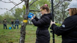 Producer-Driven Research Is Reshaping Crop Production