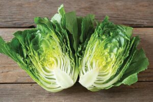 Bigelow (Johnny's Selected Seeds)