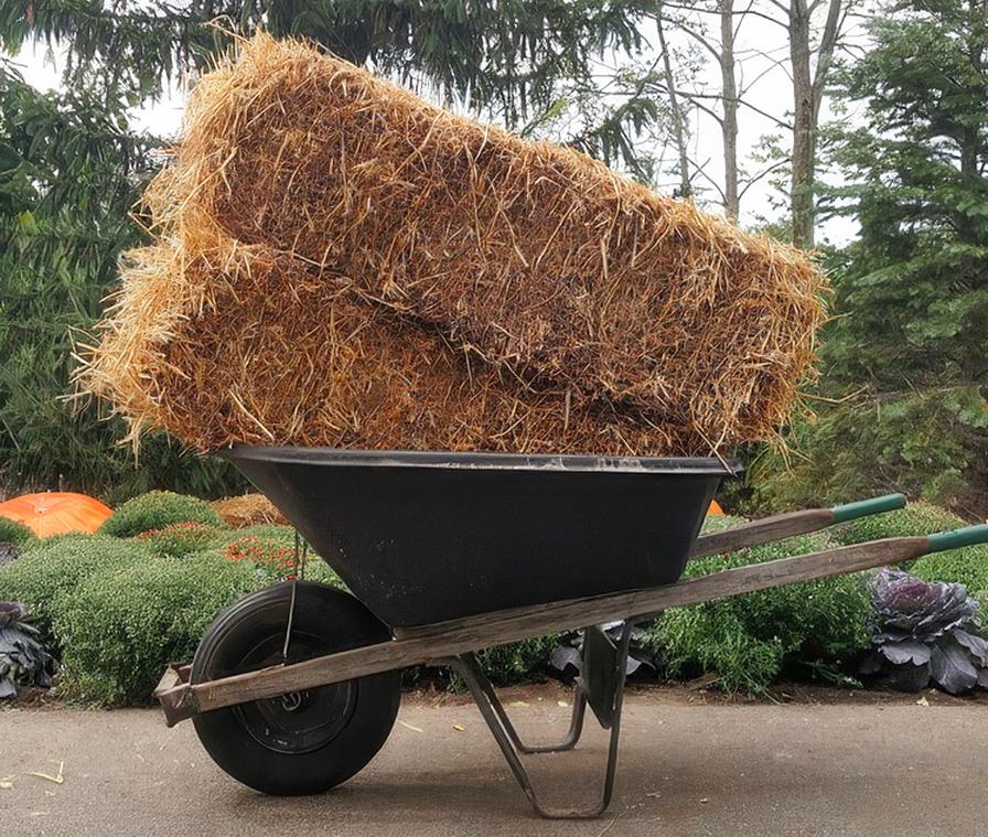 wheelbarrow at Frederik Meijer Gardens and Sculpture Park