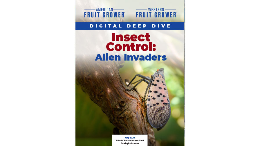 Digital Deep Dive: Your Guide To Controlling Invasive Fruit Pests