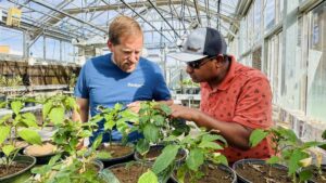 Biofertilizers 101: What Fruit Growers Need To Know