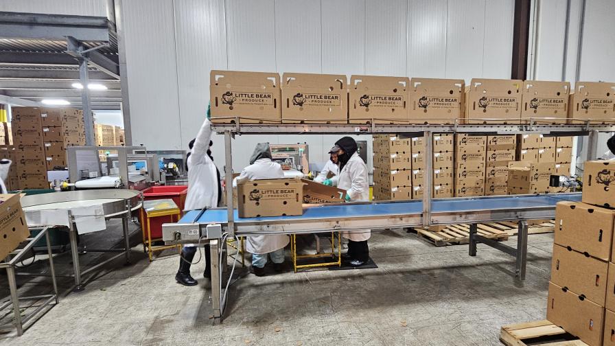 Little Bear Produce employees in the packinghouse