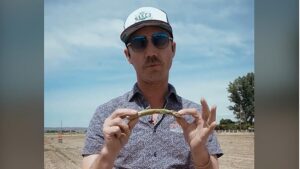 Grower Perspective: Why Asparagus Fields in the U.S. are Disappearing