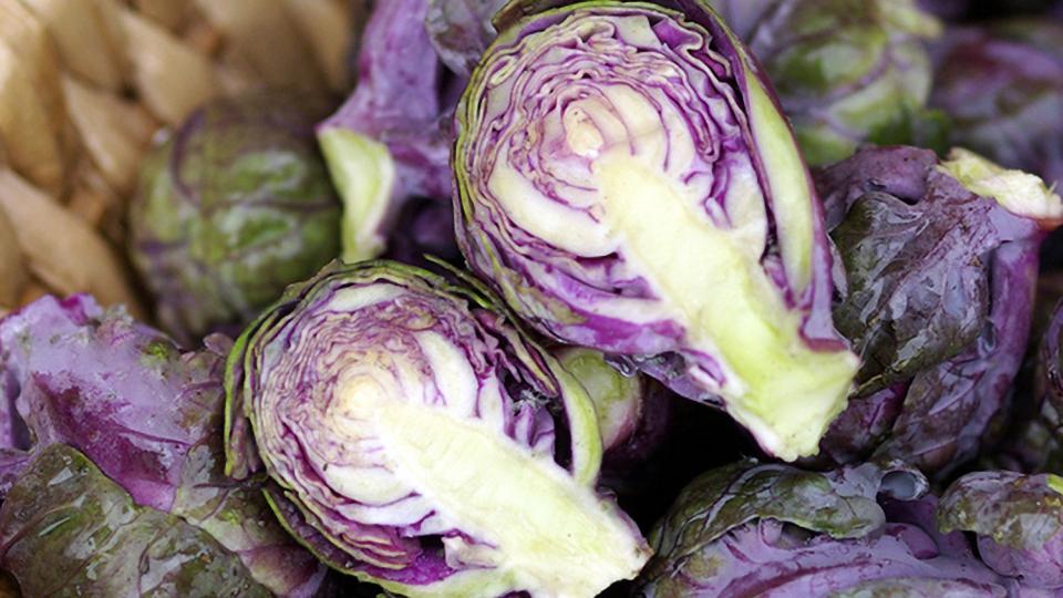 Redarling F1 (Syngenta Vegetable Seeds, Osborne Quality Seeds)