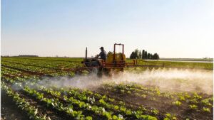 Following Letter of the Law for Soil Fumigation Success