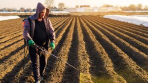 Ways the IR-4 Project Can Help Your Farm Grow