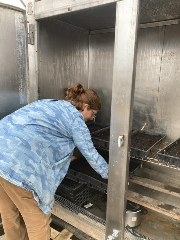 plant germination chamber at Moonrose Farm