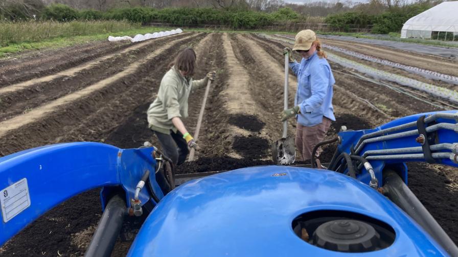 New Holland TC55DA tractor at Moonrose Farm