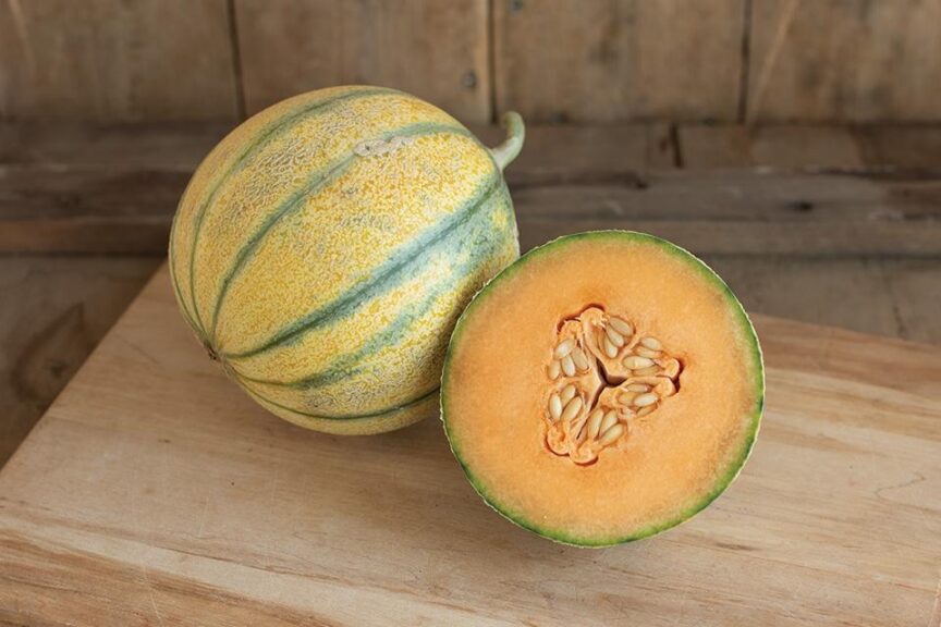 Griselet (Johnny’s Selected Seeds)
