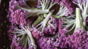 The Top Cole Crops To Grow Right Now