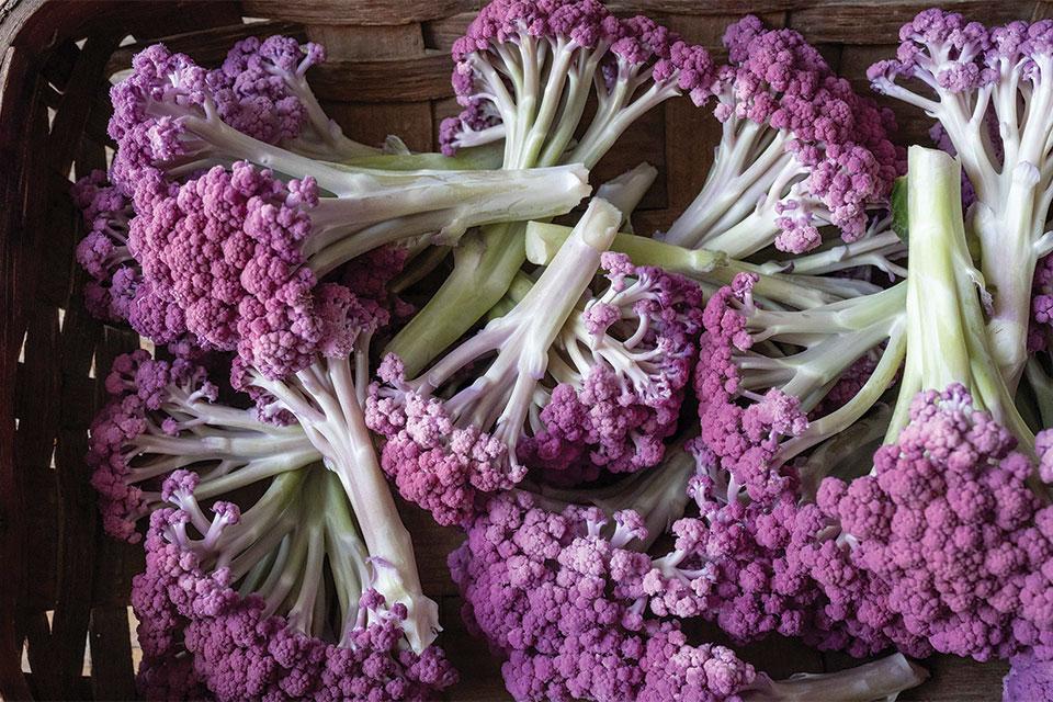 The Top Cole Crops To Grow Right Now