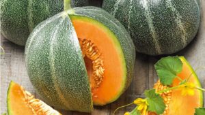 18 Melons You Will Want To Know and Grow Now